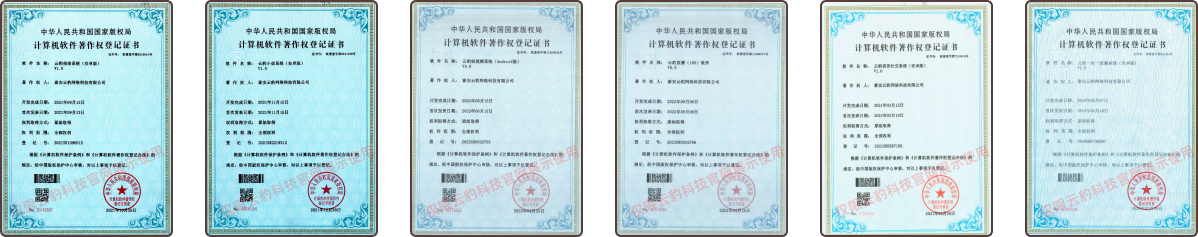 小蓝裳陪玩系统公司资质